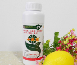 杀木虱蓟马粉虱农药